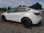 Lot #3026018953 2023 TESLA MODEL Y