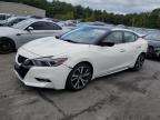 2017 NISSAN MAXIMA 3.5 - 1N4AA6AP5HC392716