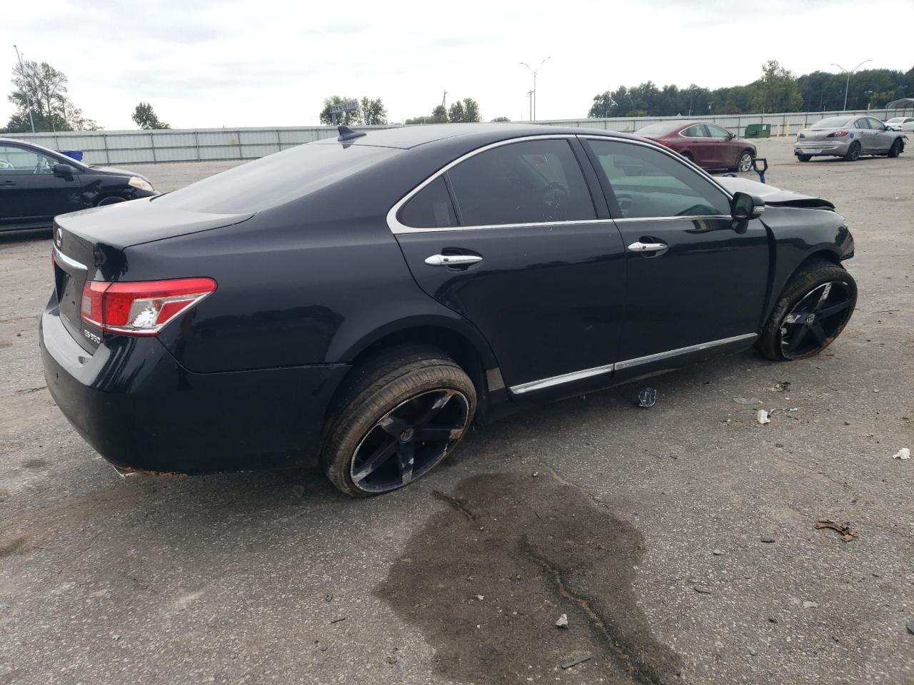 Lot #3024184803 2011 LEXUS ES 350