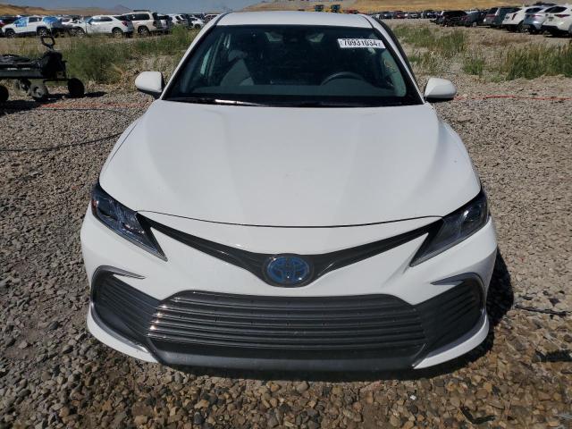 2021 TOYOTA CAMRY LE - 4T1C31AK3MU561197