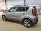 KIA SOUL + photo