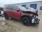 TOYOTA RAV4 XLE P снимка