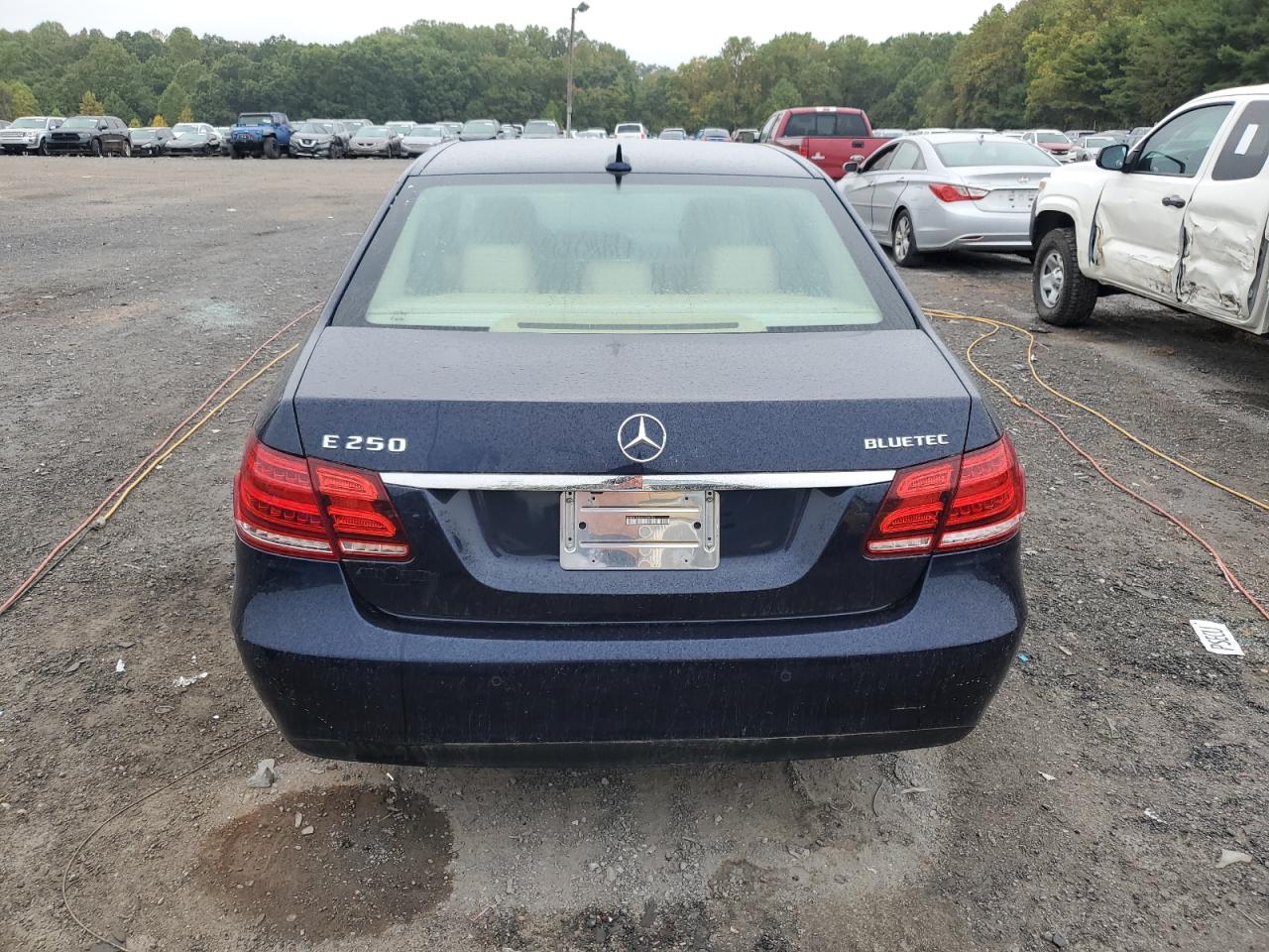 Lot #2843181134 2014 MERCEDES-BENZ E 250 BLUE