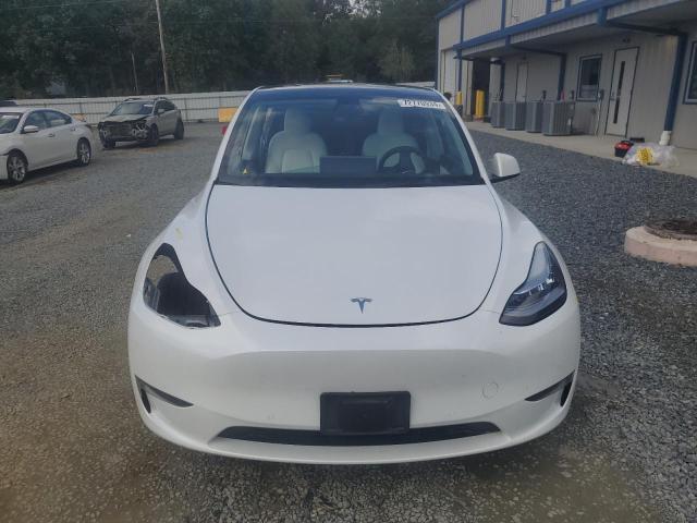 2021 TESLA MODEL Y - 5YJYGDEE8MF256825
