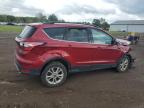 FORD ESCAPE SE photo