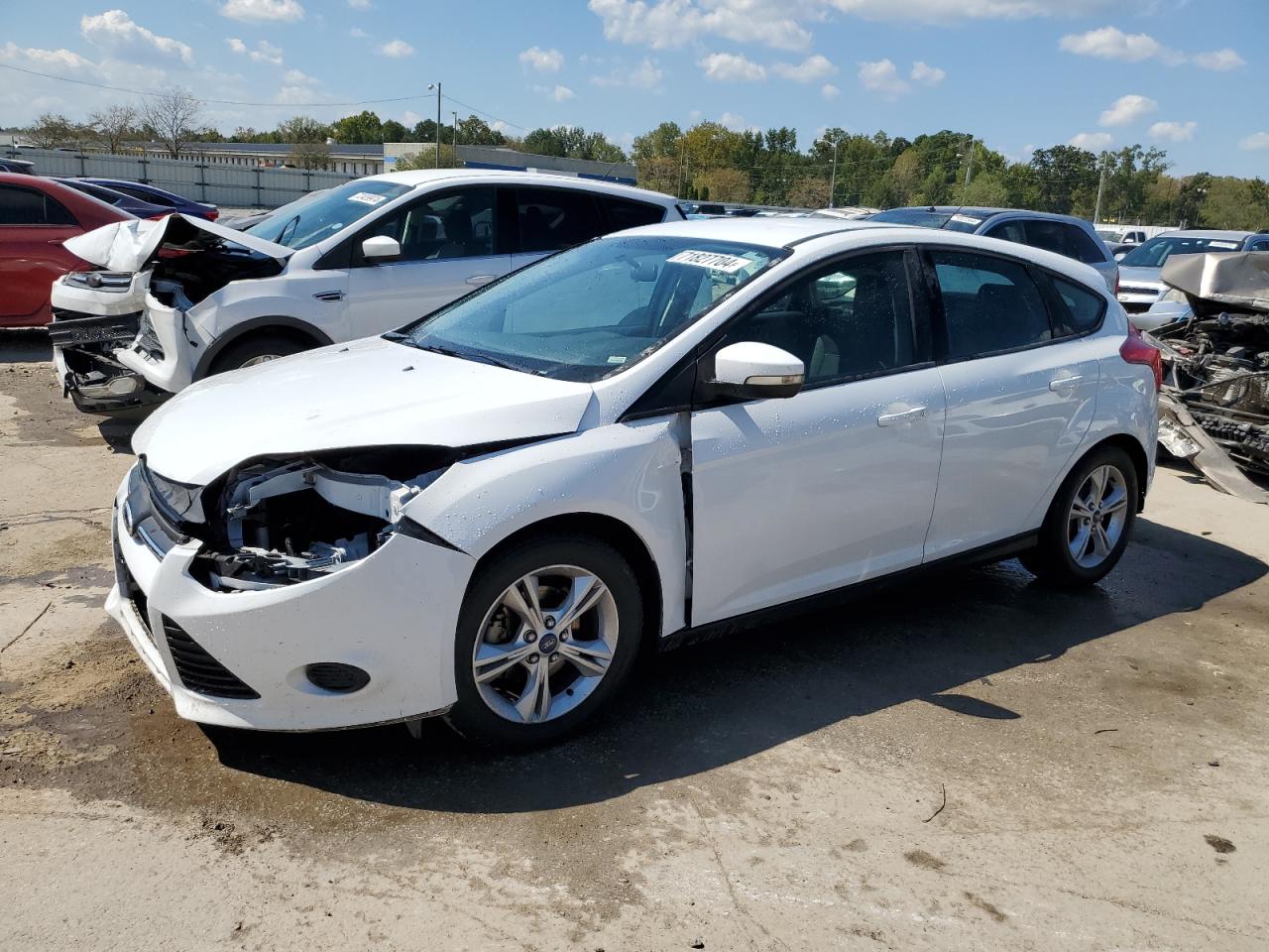 Lot #2921779521 2013 FORD FOCUS SE