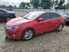 HYUNDAI ELANTRA SE photo