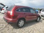 HONDA CR-V EX photo