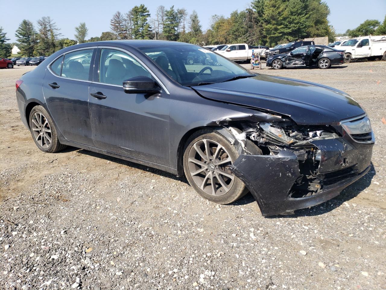 Lot #3009169462 2015 ACURA TLX TECH