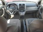 HONDA CR-V EX photo