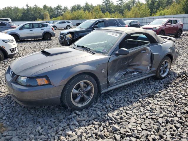 2004 FORD MUSTANG GT #2942683466