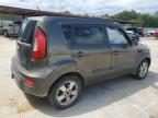 KIA SOUL + photo