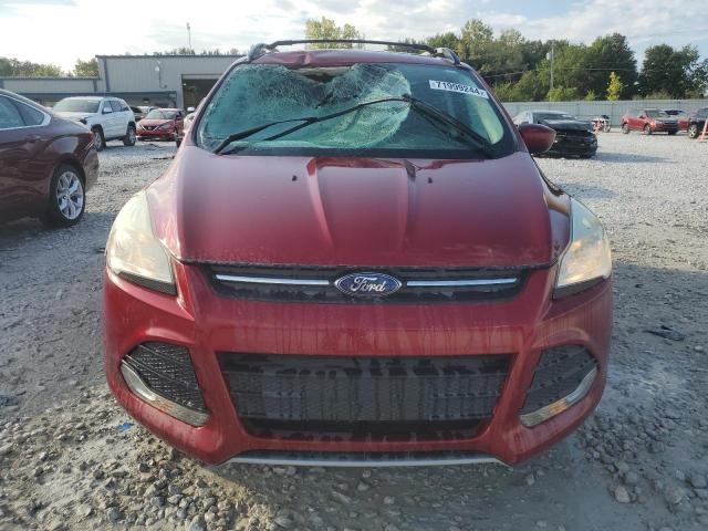 VIN 1FMCU9GX5DUC81585 2013 Ford Escape, SE no.5