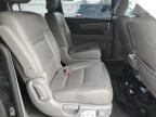 HONDA ODYSSEY EX снимка