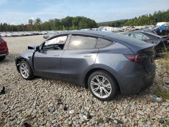 2023 TESLA MODEL Y - 7SAYGDEEXPA202737