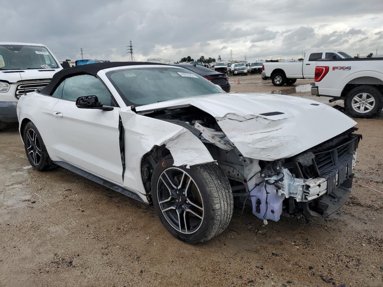 Lot #2989333628 2020 FORD MUSTANG