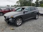 2024 HYUNDAI TUCSON SEL - 5NMJB3DE1RH301573