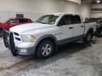 DODGE RAM 1500 photo