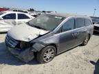 HONDA ODYSSEY EX photo