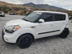 KIA SOUL + photo