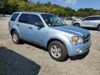 FORD ESCAPE HEV photo