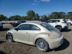 VOLKSWAGEN BEETLE photo