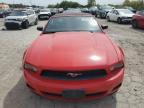 Lot #3024604729 2010 FORD MUSTANG