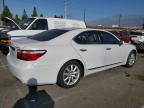 LEXUS LS 460 photo