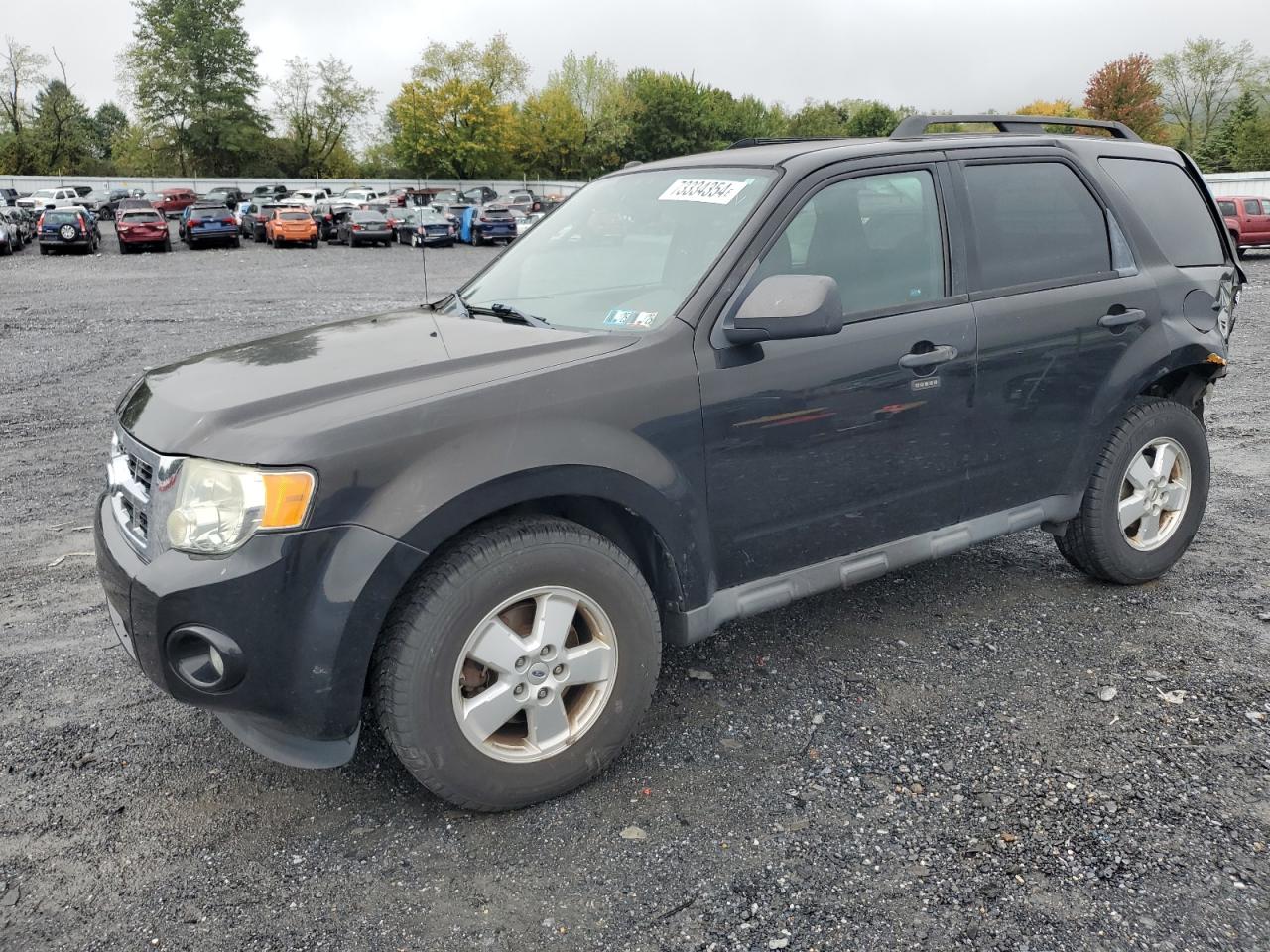 Ford Escape 2011 XLT