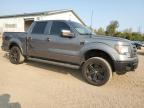 FORD F150 SUPER photo