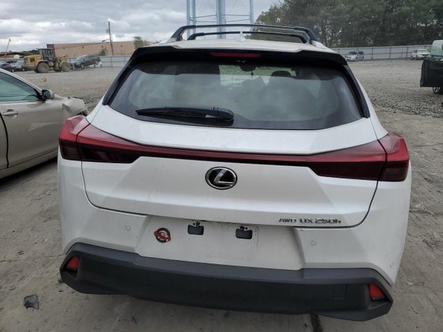 VIN JTHP9JBH1P2069256 2023 LEXUS UX 250H PR no.6