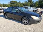 HONDA ACCORD SE photo