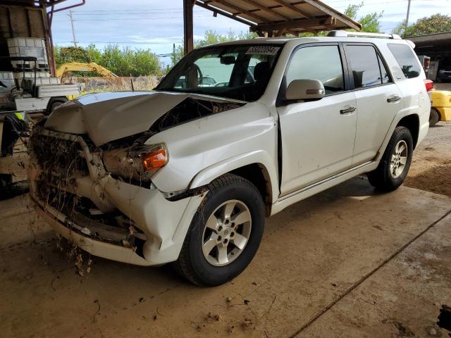 2010 TOYOTA 4RUNNER SR #3276581058
