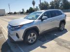 TOYOTA RAV4 XLE photo