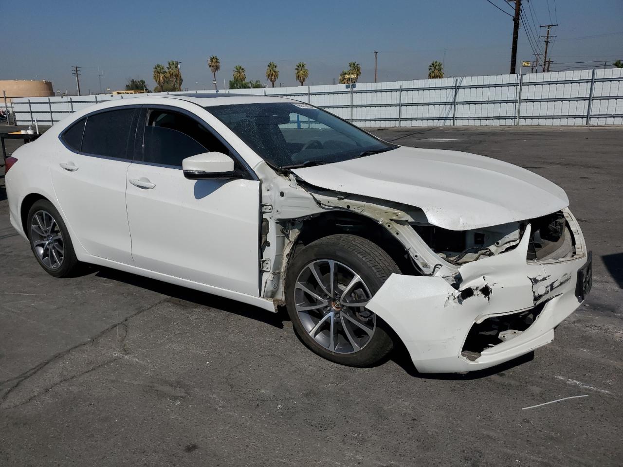 Lot #2976509624 2020 ACURA TLX