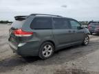 TOYOTA SIENNA LE photo