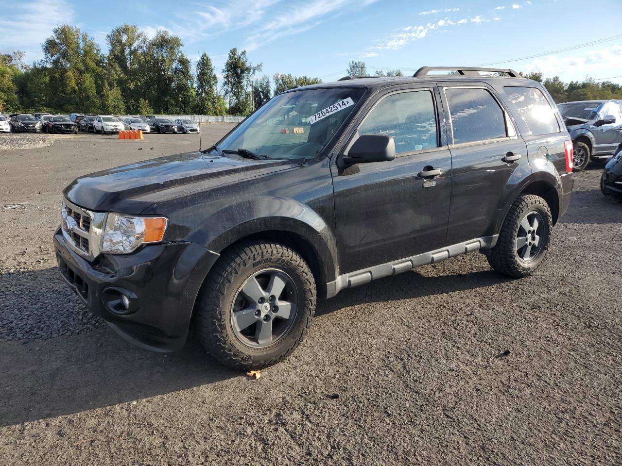 Ford Escape 2011 XLT