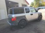 HONDA ELEMENT DX снимка