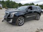 2015 CADILLAC ESCALADE P - 1GYS4CKJ7FR238320