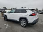 Lot #2962755072 2021 TOYOTA RAV4 LE