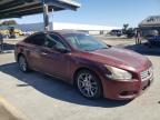 NISSAN MAXIMA S photo