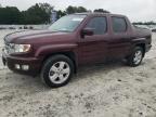 HONDA RIDGELINE photo