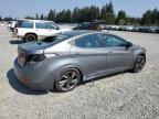 HYUNDAI ELANTRA SE photo