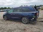 HONDA ODYSSEY EX photo