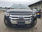 Lot #3024078638 2014 FORD EDGE SEL