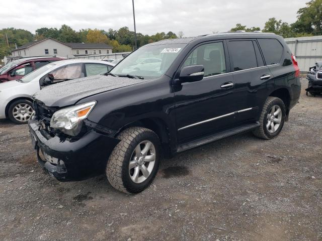 VIN JTJBM7FX9D5059208 2013 Lexus GX, 460 no.1