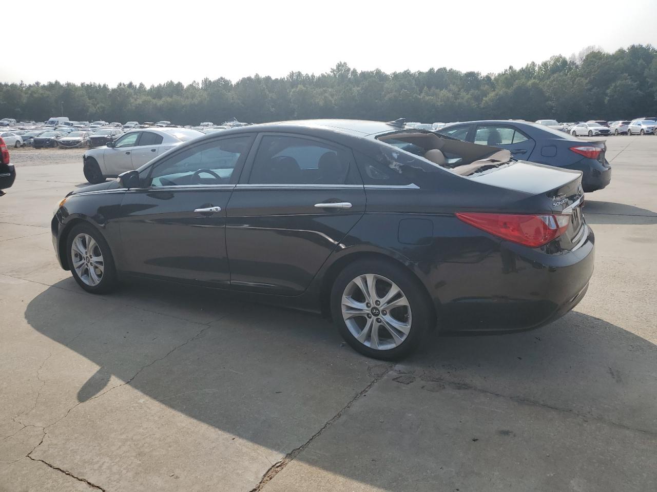 Lot #2869508828 2013 HYUNDAI SONATA SE