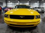 FORD MUSTANG photo