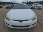 HONDA ACCORD EX photo