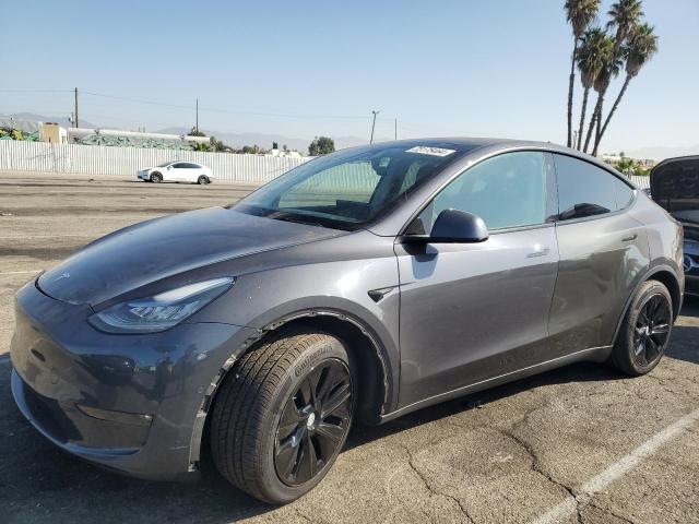 2021 TESLA MODEL Y #3033461085